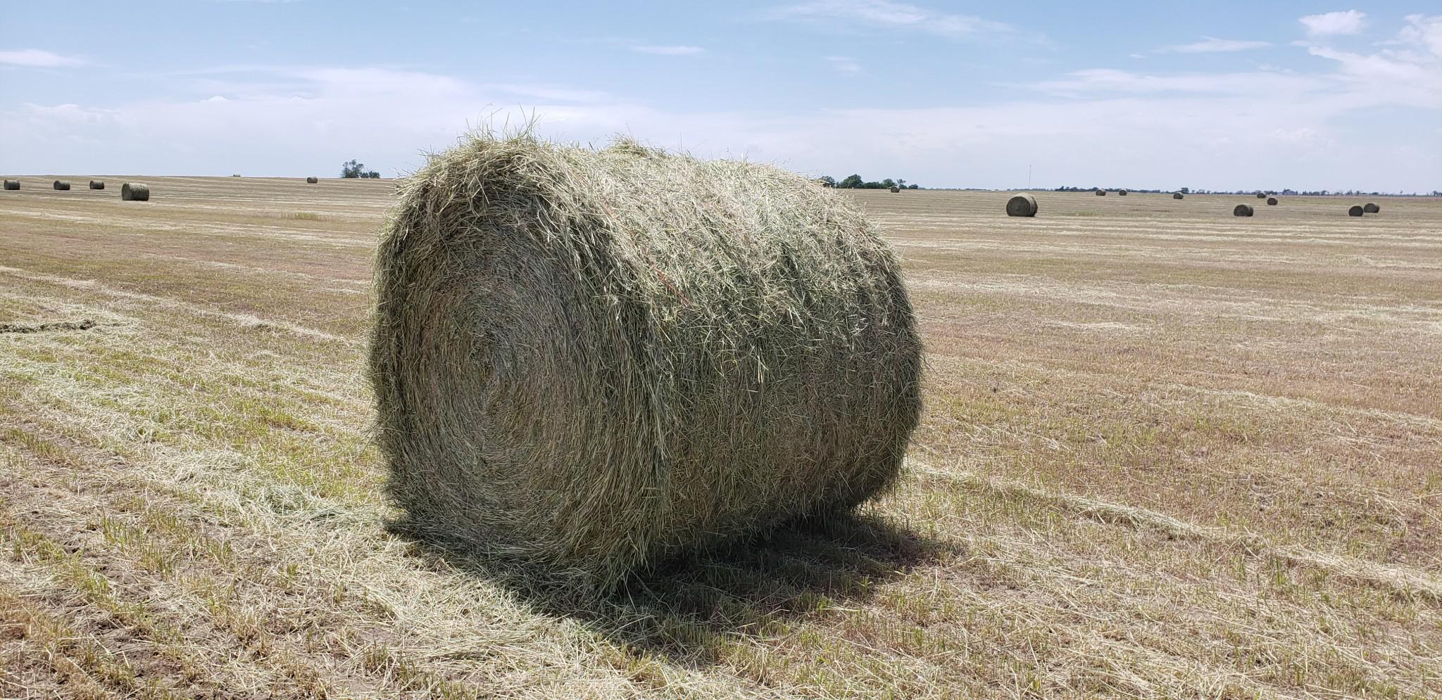 Large Round Wheat Bales near Hemingford, Nebraska Hay Bales HitchPin