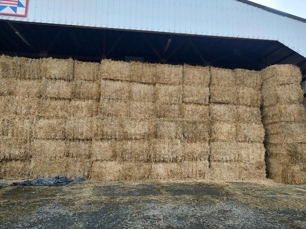 Large Square Wheat Straw Bales near Sacramento, California Hay Bales