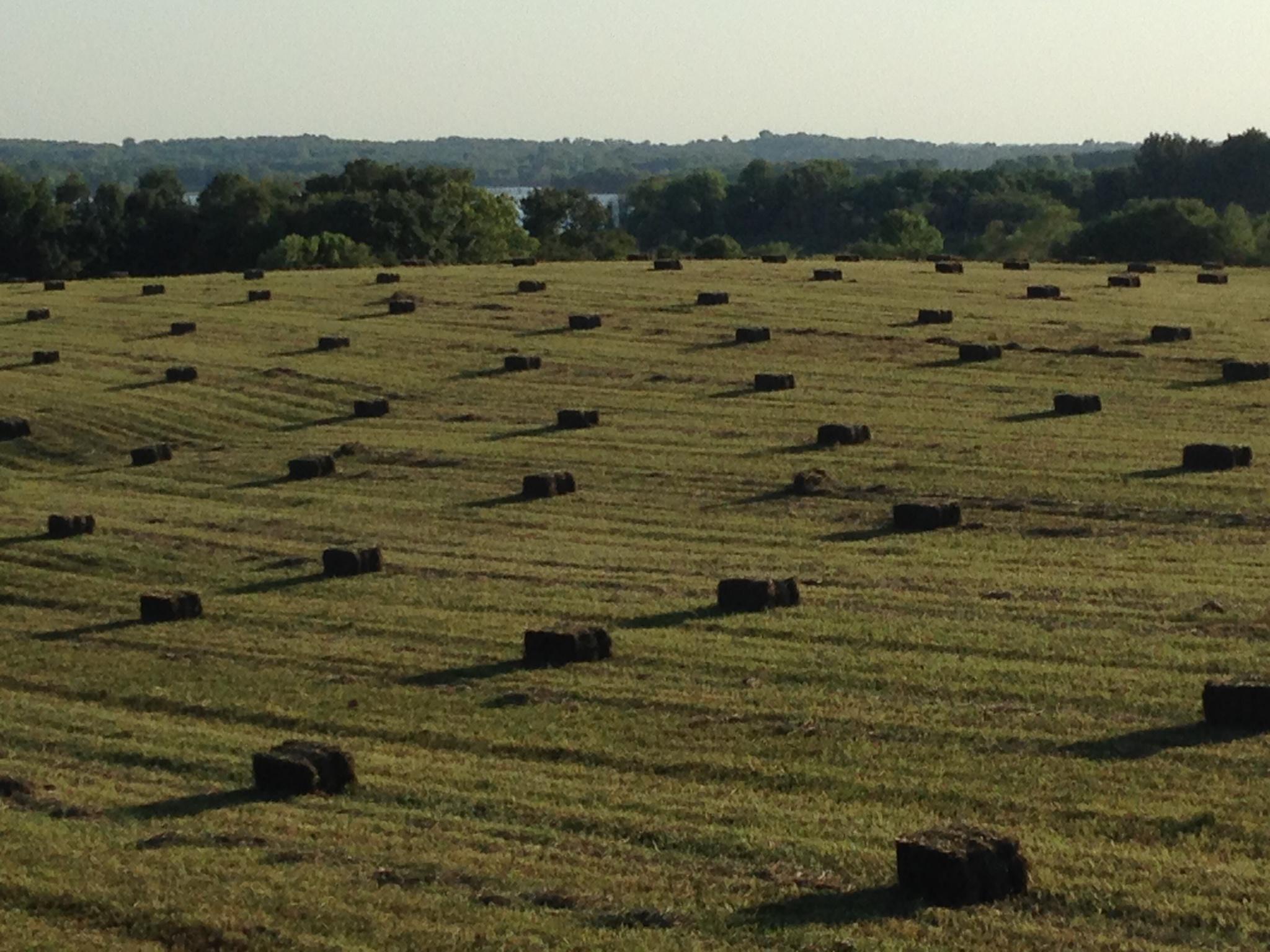 Brome Bales near Smithville, Missouri Hay HitchPin