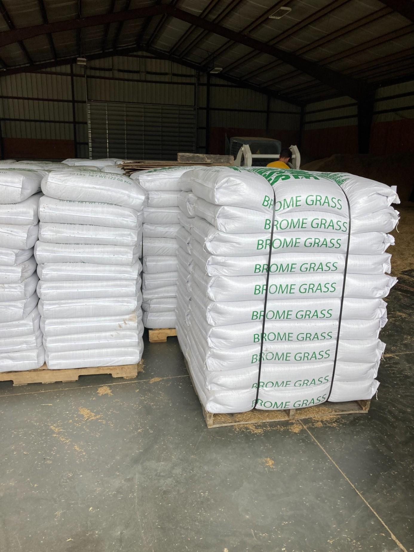 Brome Grass Seed near Whitewater, Kansas HitchPin