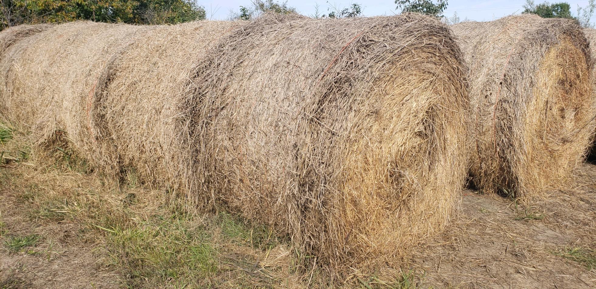 Small Round Brome / Prairie Bales near Topeka, Kansas Hay Bales