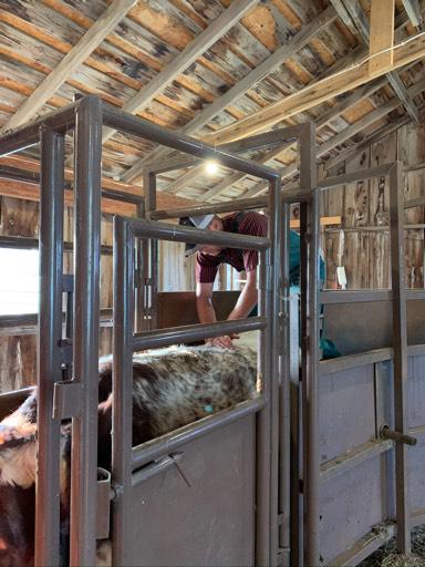 Brome Bales near Chapman, Kansas Hay HitchPin
