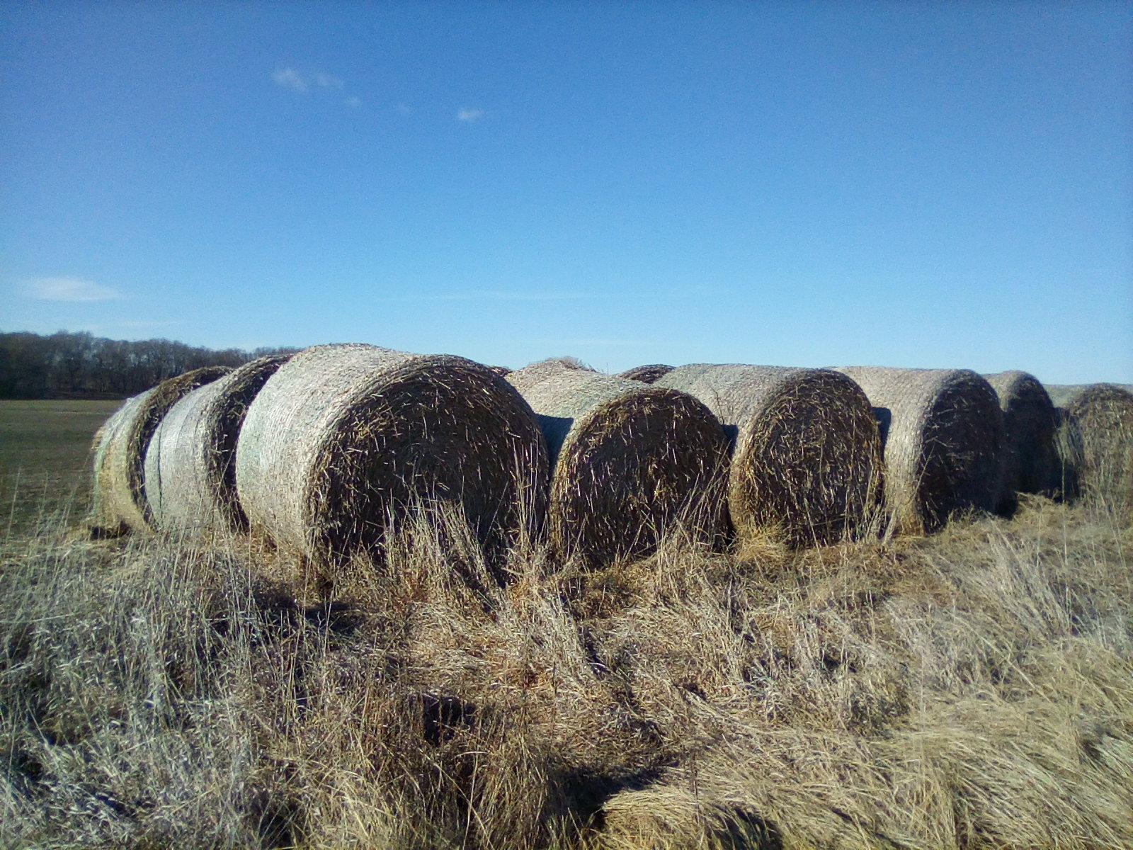 Wheat Straw Bales near Wakefield, Kansas Hay HitchPin