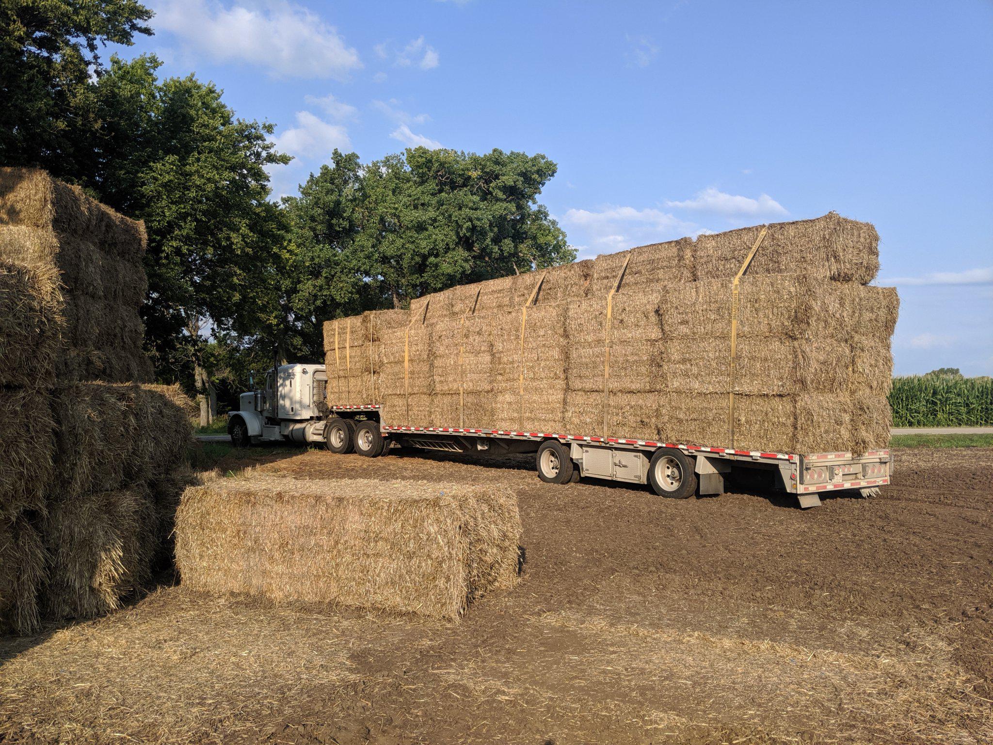 Large Square Straw Bales near Beloit, Kansas Hay Bales HitchPin