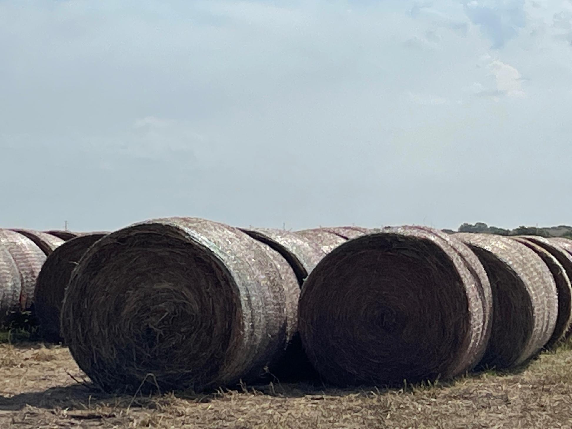 Large Round Mixed Grass Bales near Wellington, Kansas Hay Bales