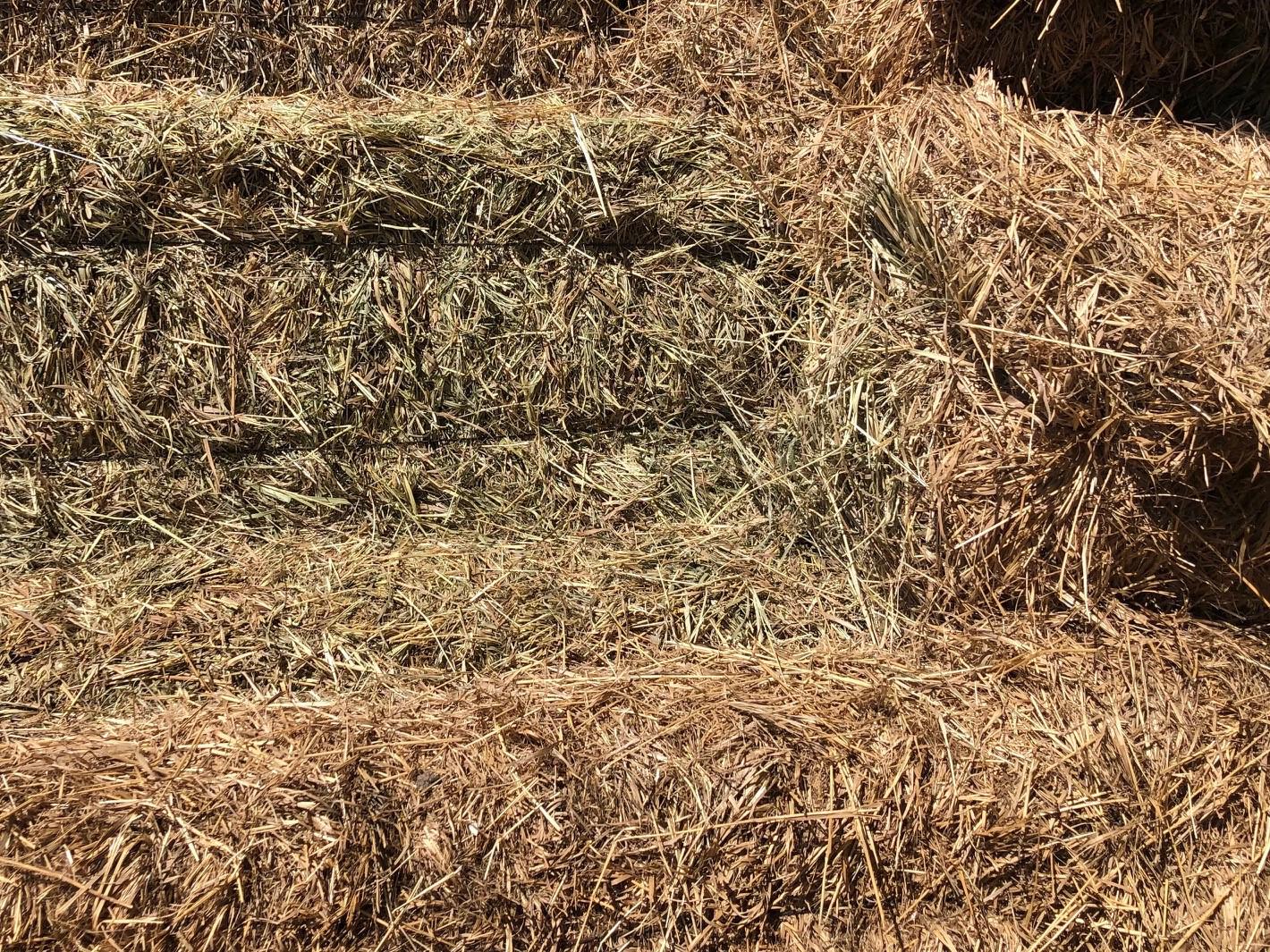 Small Square Brome Bales near Whitewater, Kansas Hay Bales HitchPin